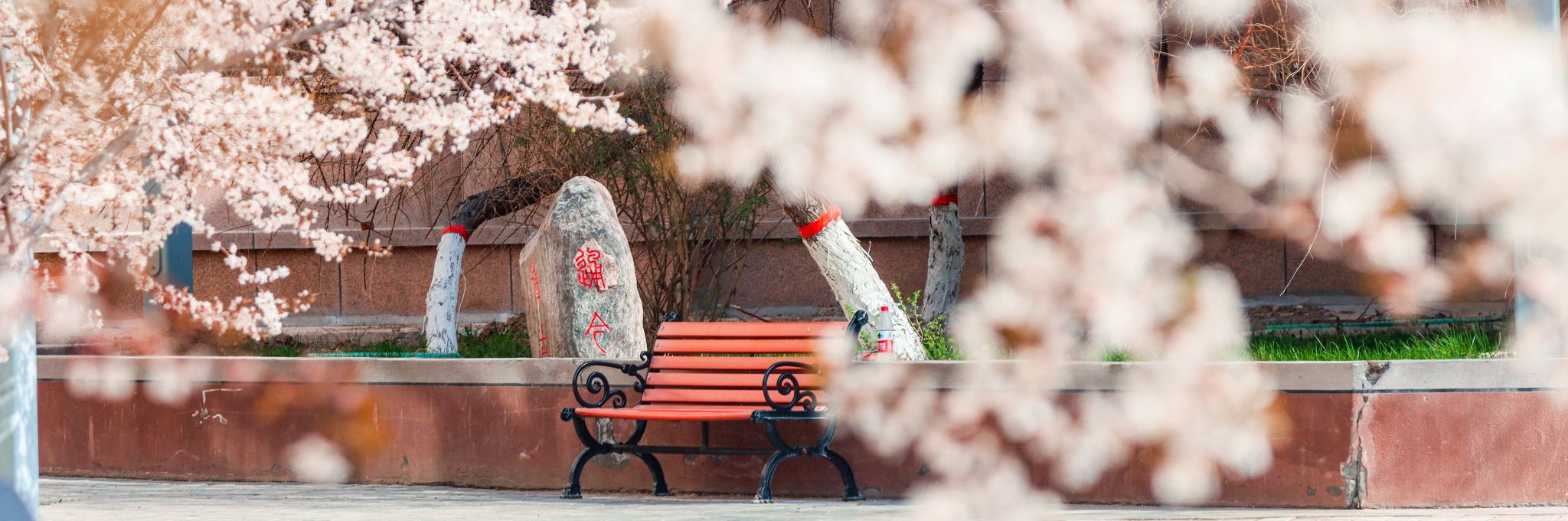 新师春芳
