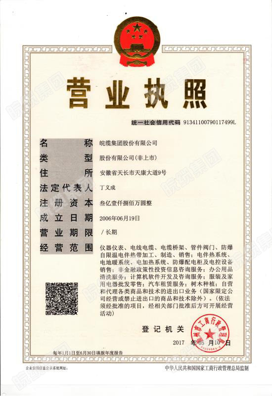 营业执照(正本),统一社会信用代码:91341100790117499L
